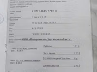 Hengst, Russian Trotter — Foto 3