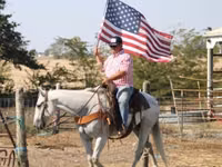 حصان, Quarter Horse — الصورة 7