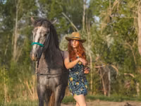 Horse (M), Altai horse — photo 3