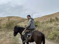 حصان, Azerbaijan horse — الصورة 1
