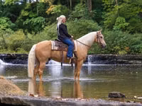 Horse (M), Palomino — photo 2