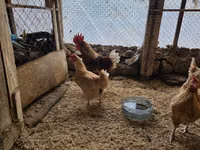 لوهمان براون — الصورة 7