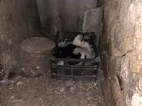إيست إندي — الصورة 4