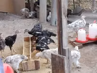 براهما — الصورة 2