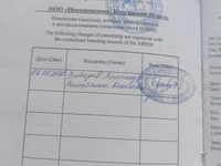 Hengst, Russian Trotter — Foto 2