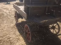 Horse (M), Horses — photo 5