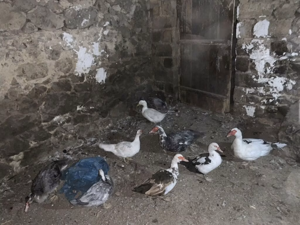 إيست إندي