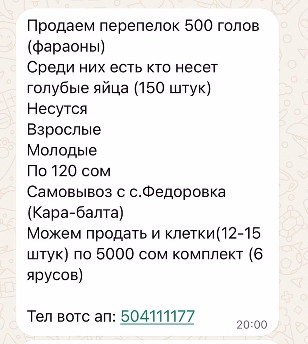 Фараон